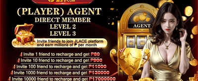Promotional agent offer
